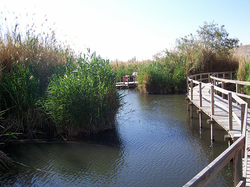 Azraq Wetland Park